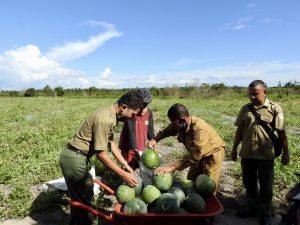 Sebuah Aksi Respon Dampak COVID-19